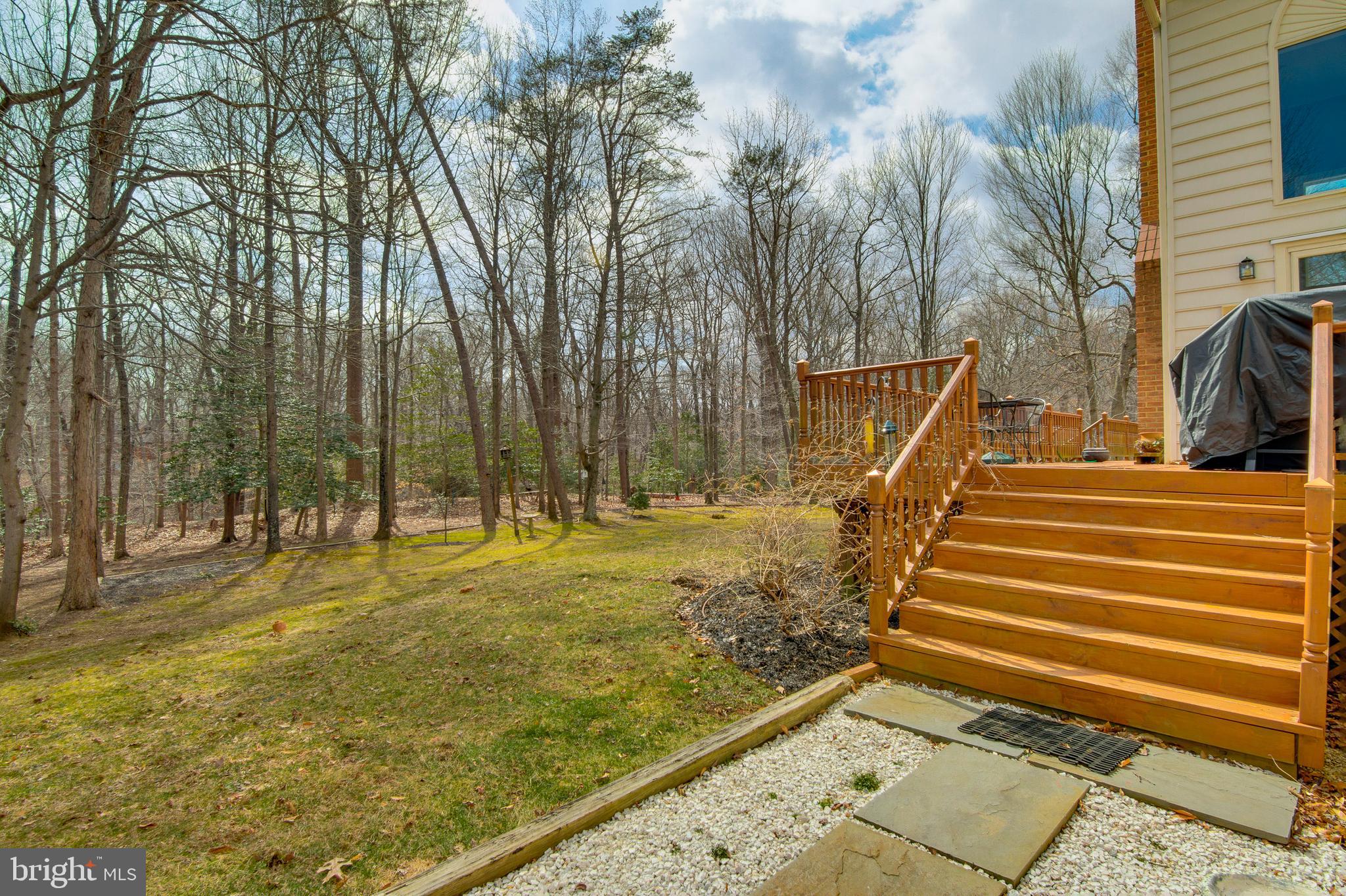 533 Post Oak Road Annapolis, MD 21401 - Photo 58 of 65 Great lot backs to trees