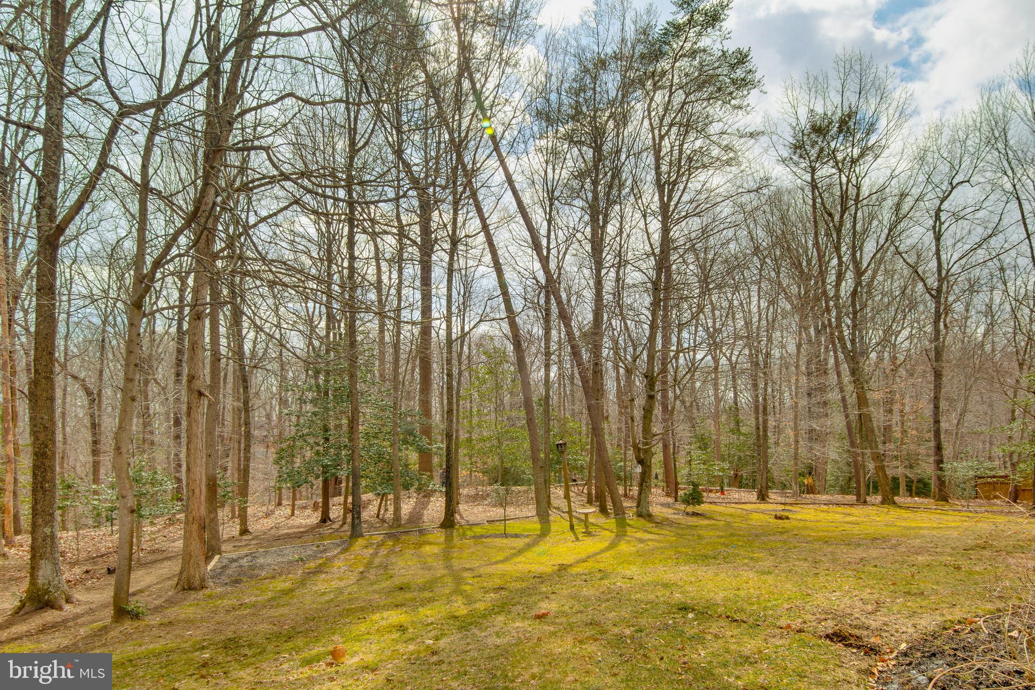 533 Post Oak Road Annapolis, MD 21401 - Photo 59 of 65 Private rear yard winter water views