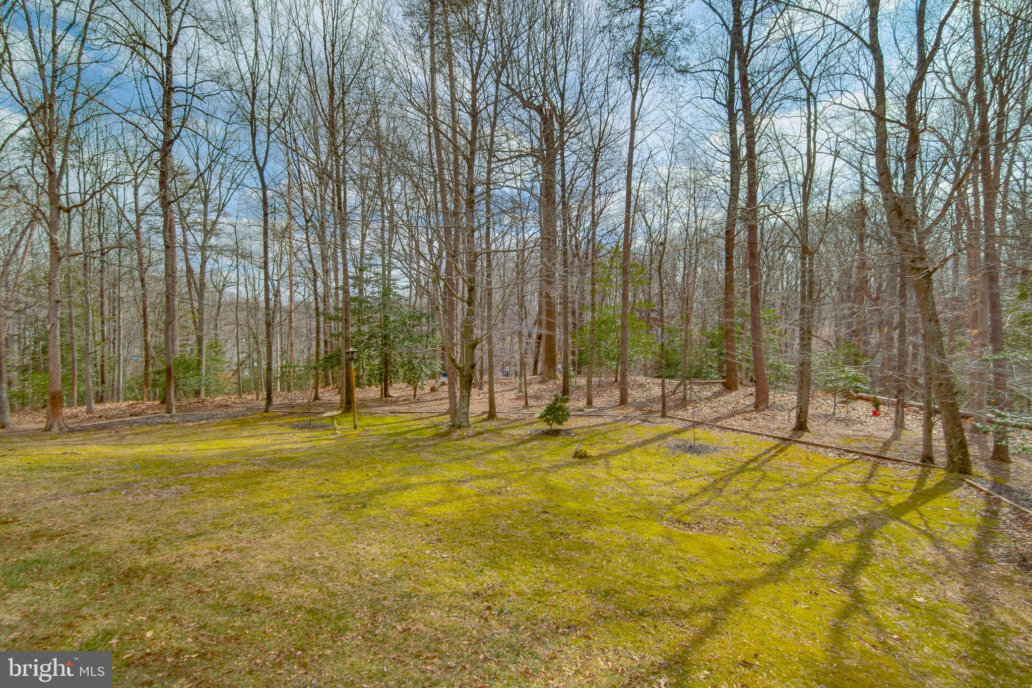 533 Post Oak Road Annapolis, MD 21401 - Photo 64 of 65 Private wooded lot