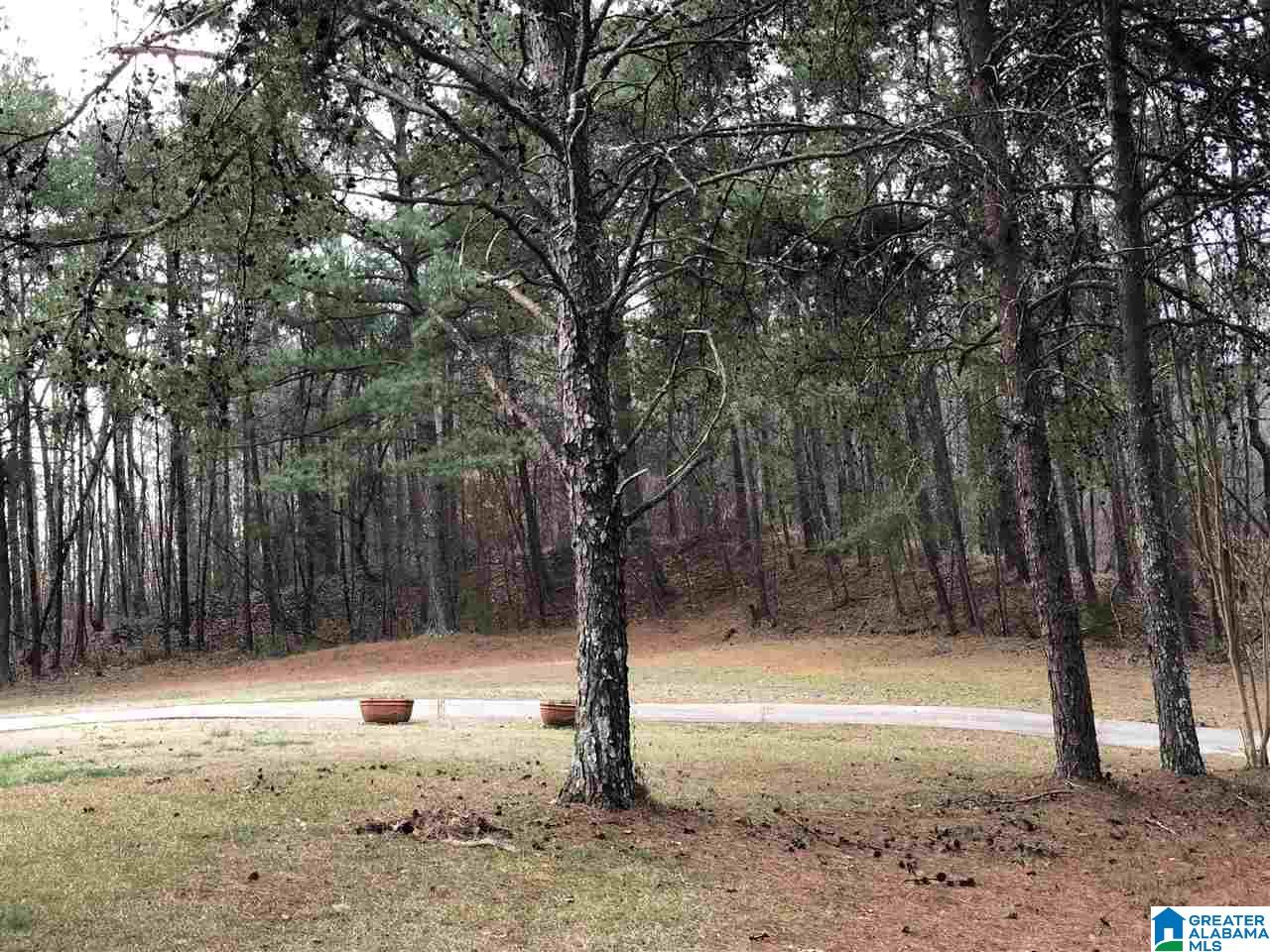3755 Hillcrest Road Birmingham, AL 35214 - Photo 38 of 44