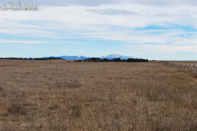 a view of an ocean beach
