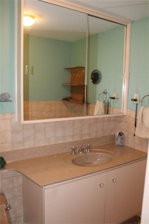 22 Tyler Road Lexington, MA 02420 - Photo 18 of 30