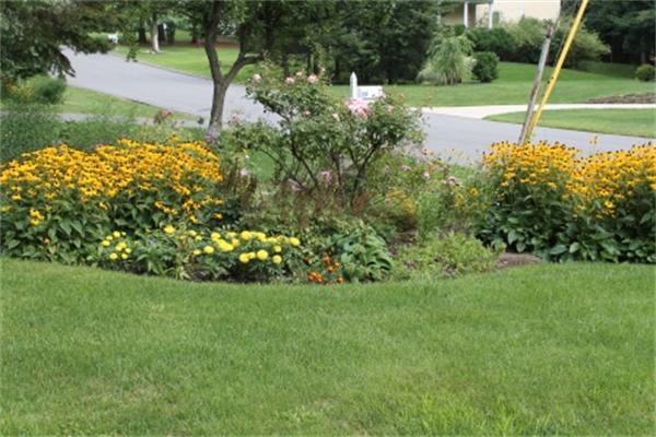 22 Tyler Road Lexington, MA 02420 - Photo 24 of 30