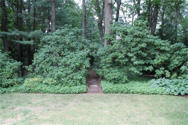 22 Tyler Road Lexington, MA 02420 - Photo 27 of 30