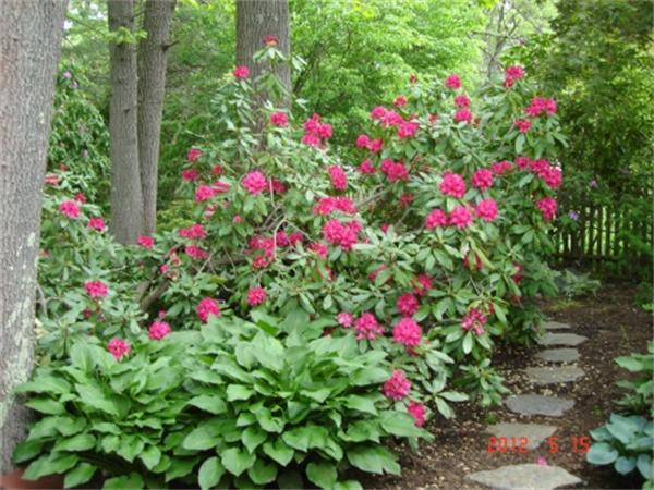 22 Tyler Road Lexington, MA 02420 - Photo 7 of 30
