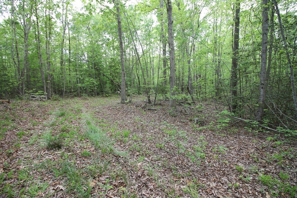 Plank Road, Unit 20C Kenbridge, VA 23944 - Photo 16 of 19 Gallery Image 16
