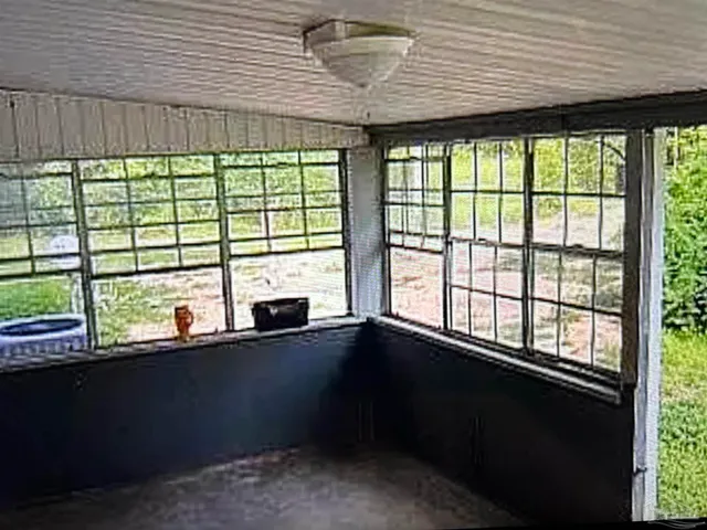 a view of a backyard with plants