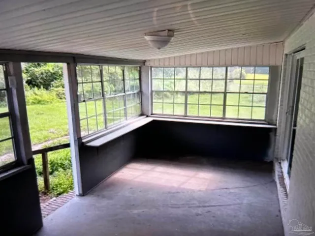 a view of a backyard with plants