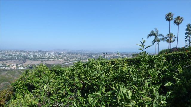 a couple of flower plants sitting in front of yellow house