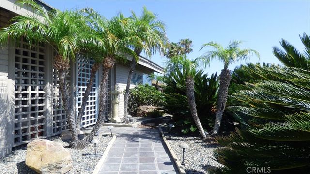 a view of a backyard with plants and palm trees