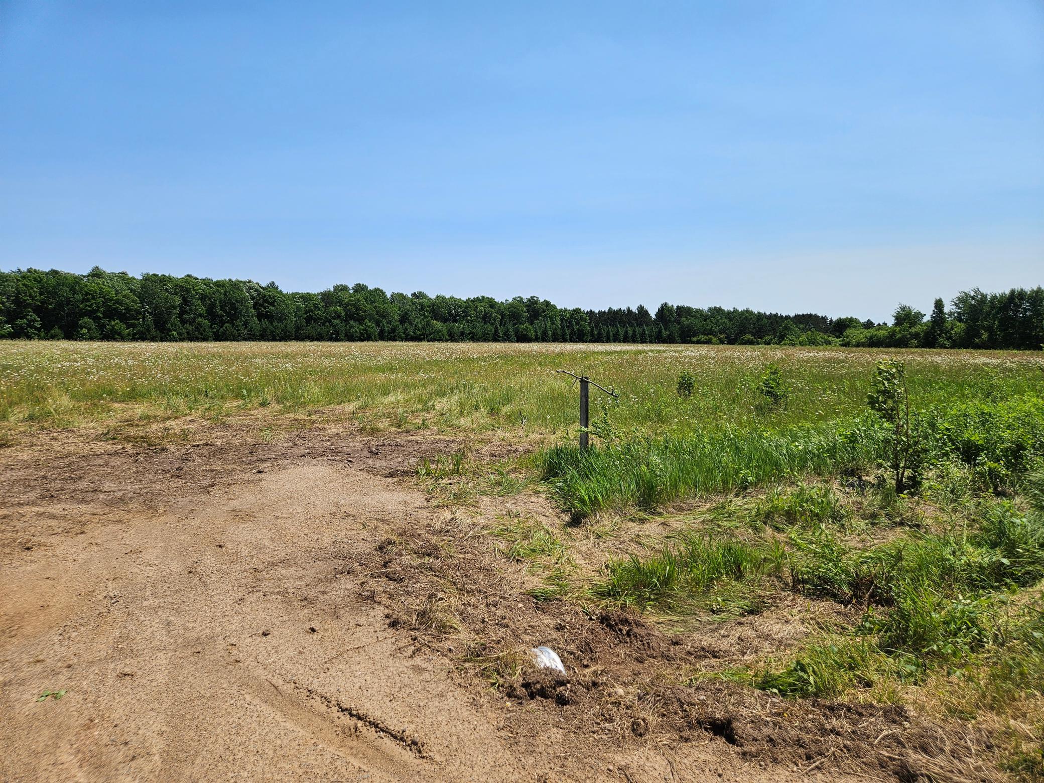 Tbd Thorson Road Brainerd, MN 56401 - Photo 5 of 14