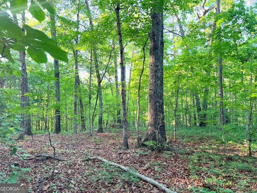 0 Moccasin Lake Road Winston, GA 30187 - Photo 1 of 1