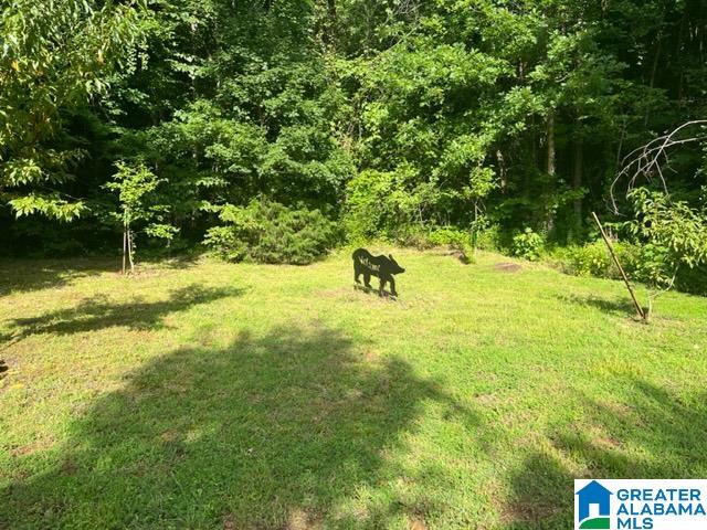 565 Oak Hill Road Talladega, AL 35160 - Photo 2 of 14