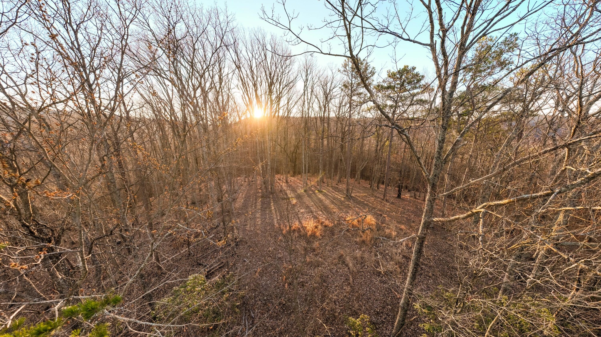 Gallery Image 6