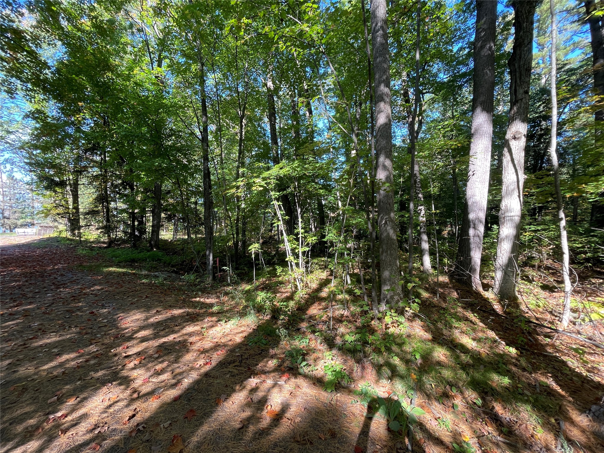 6073 North Elsie Road Stone Lake, WI 54876 - Photo 9 of 42