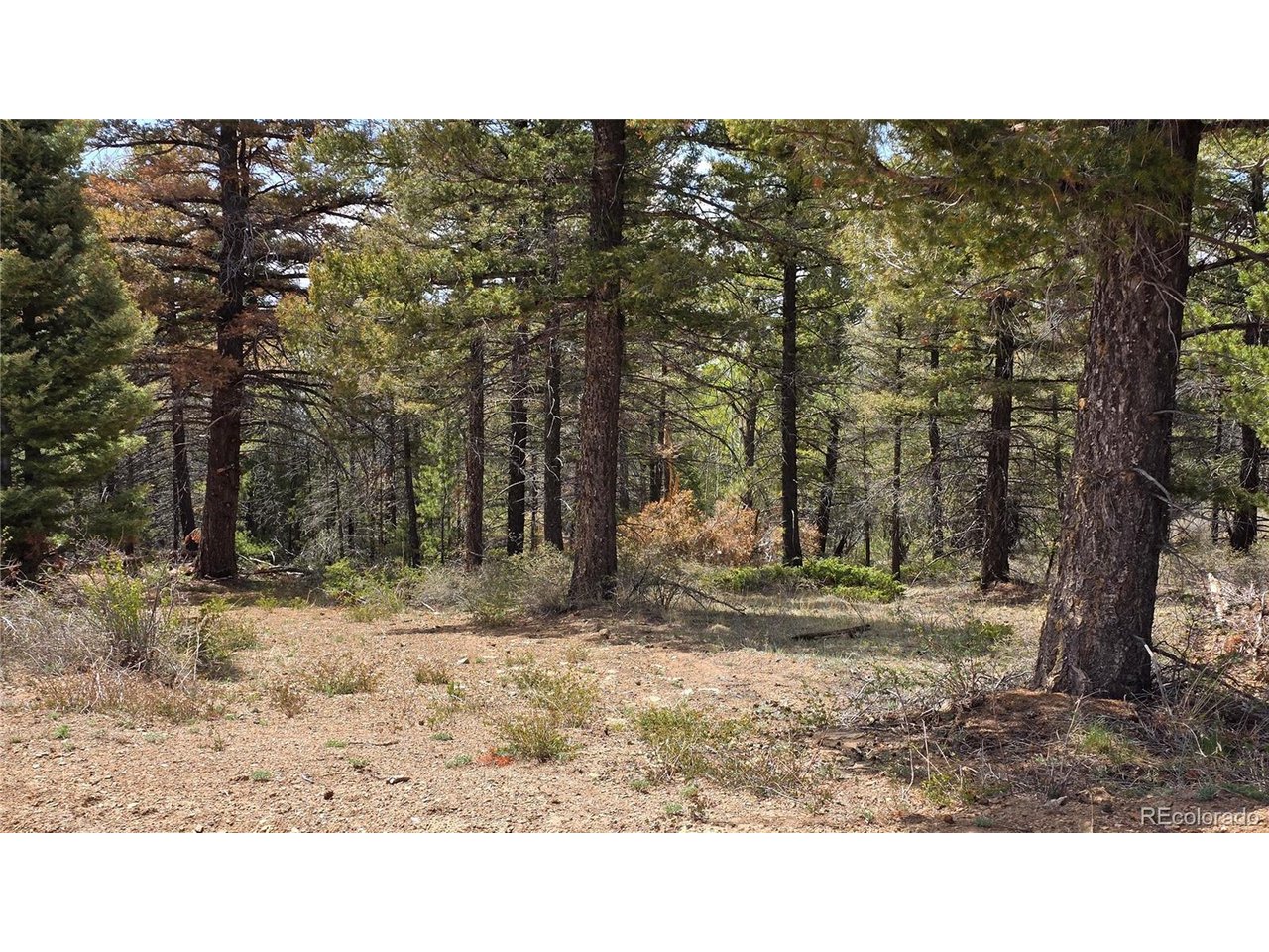 5825 Covington Road San Luis, CO 81152 - Photo 2 of 21 Gallery Image 2