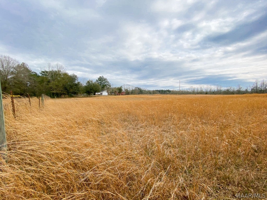644 Russell Road Samson, AL 36477 - Photo 45 of 51 Gallery Image 45