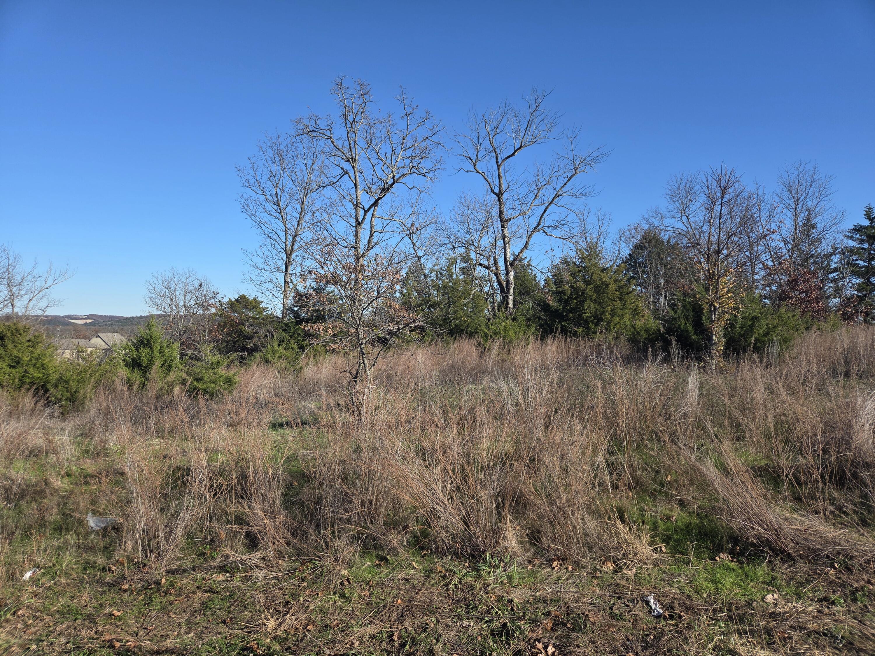 112 Black Forest Lane Reeds Spring, MO 65737 - Photo 1 of 1 112 Black Forest