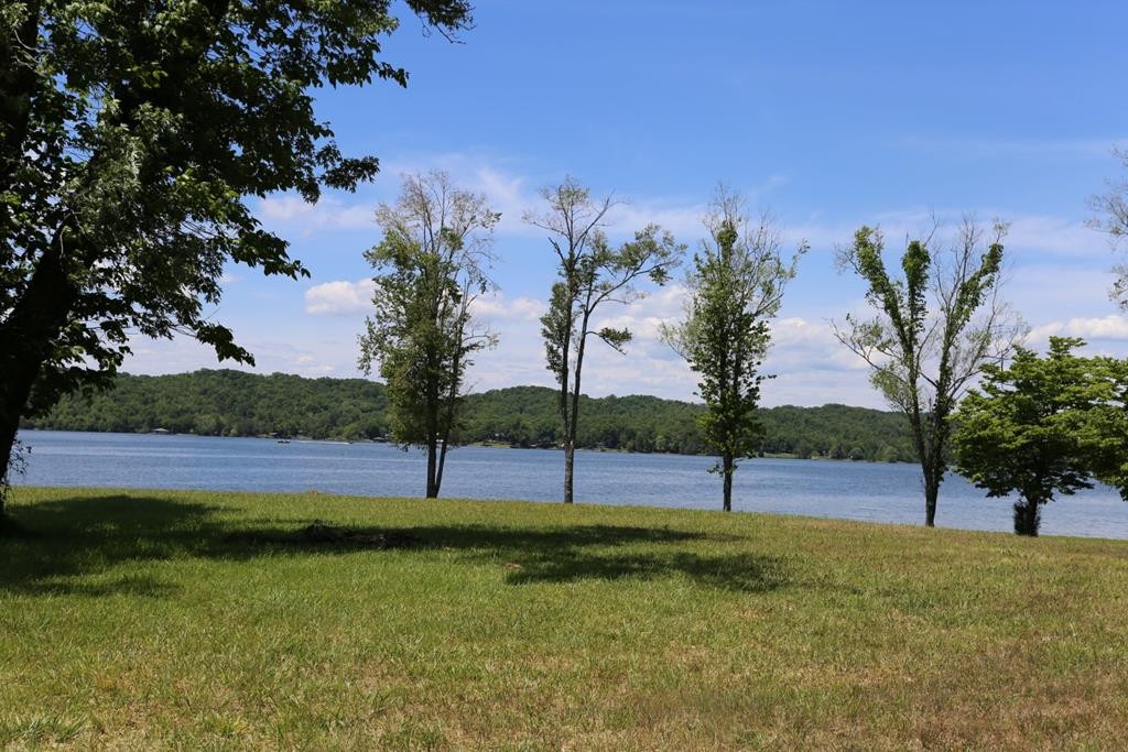 0 Blue Heron Lane Spring City, TN 37381 - Photo 19 of 32 Gallery Image 19