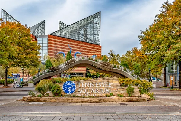 $315,000 | 828 Henderson Avenue, Rossville, GA 30741