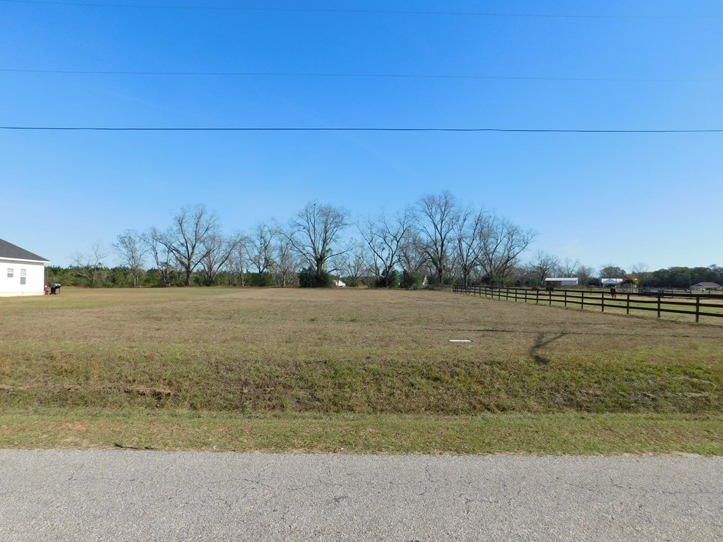 0 Airport Road Slocomb, AL 36375 - Photo 2 of 8