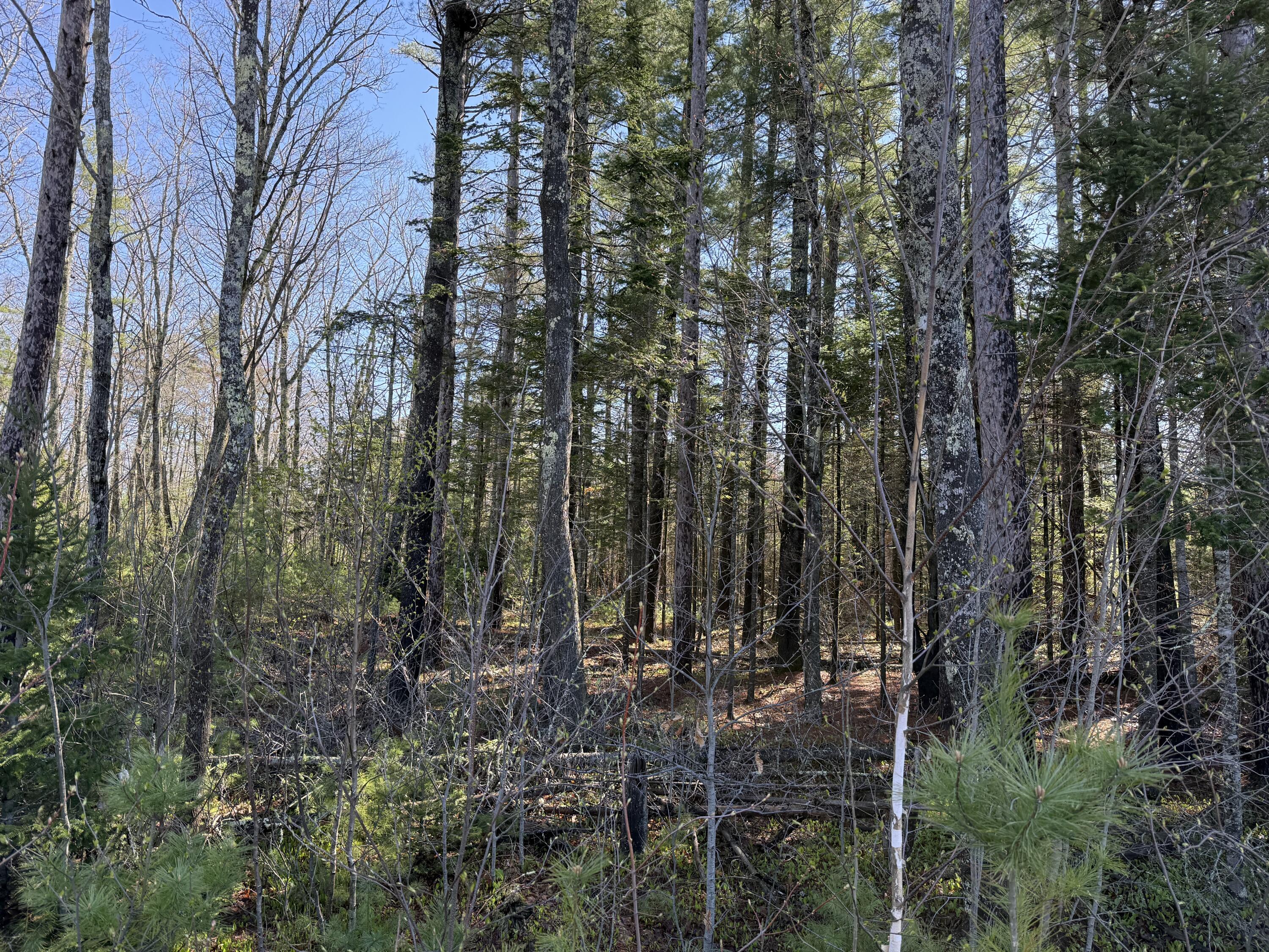 0 Wottons Mill Road Warren, ME 04864 - Photo 2 of 9