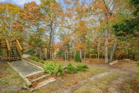 a view of a yard with a tree