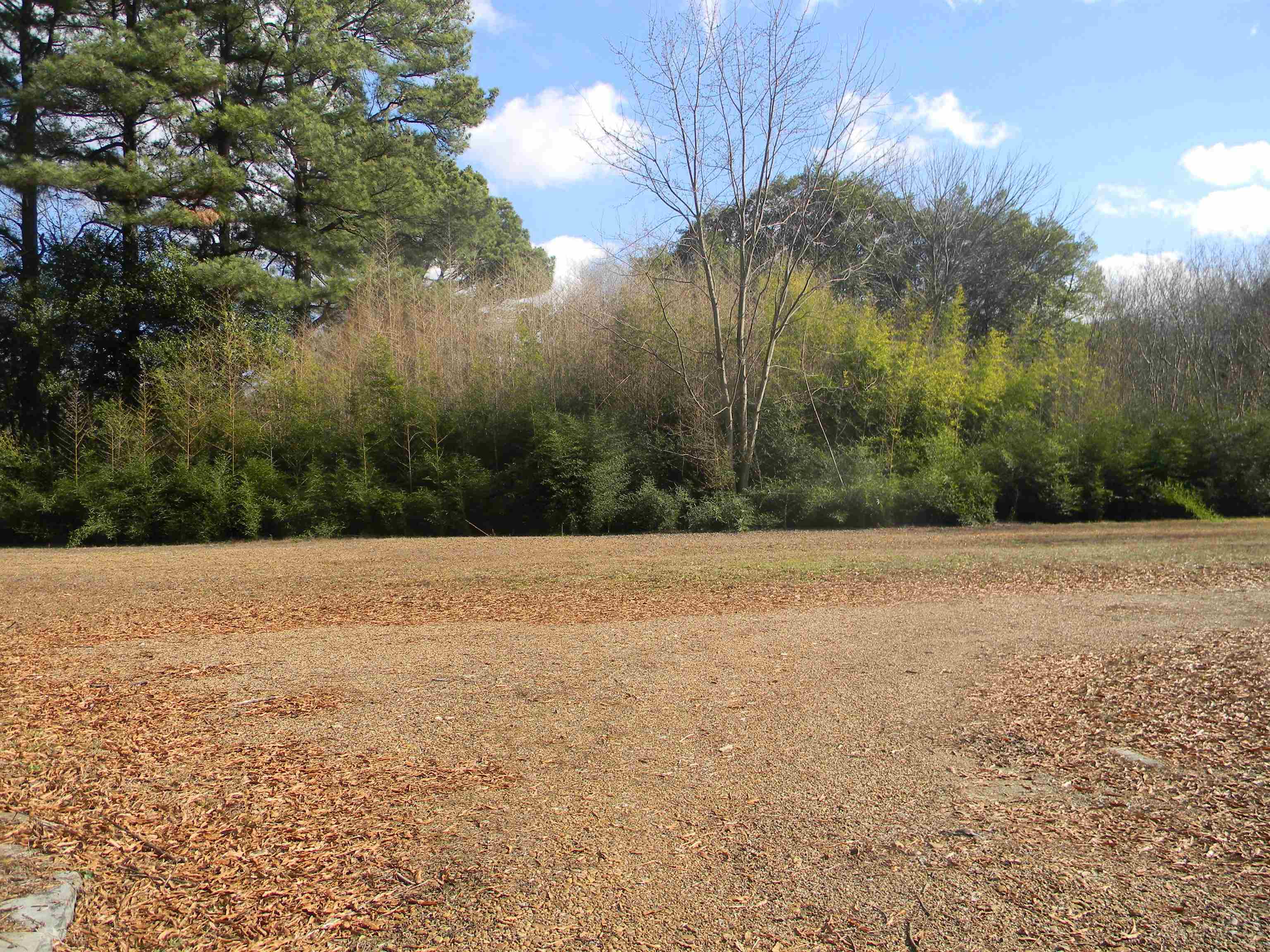 5558 Crestview Road Memphis, TN 38134 - Photo 12 of 32