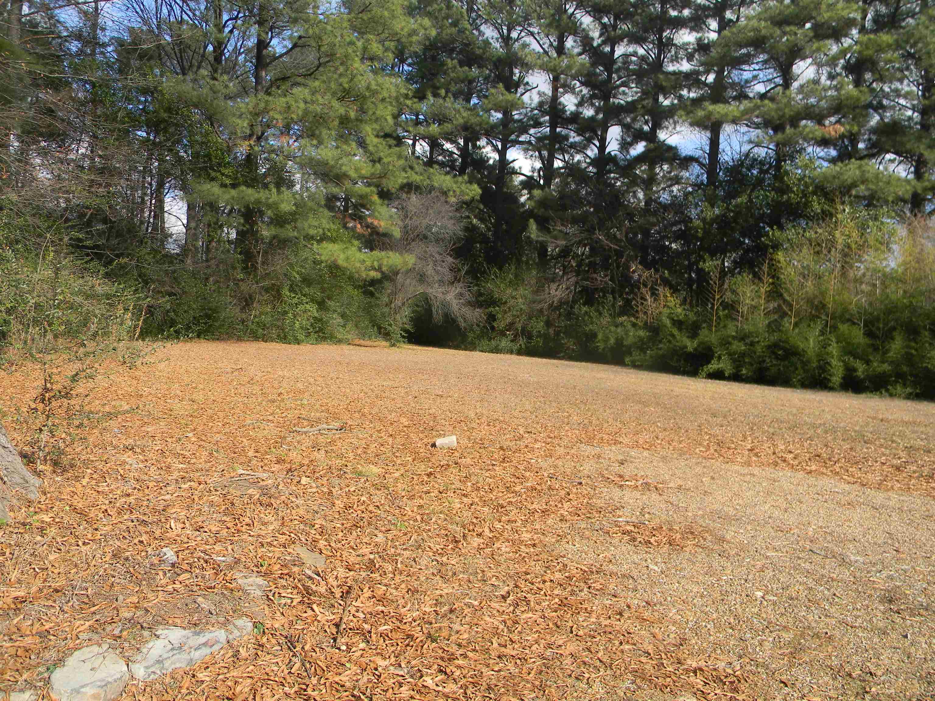 5558 Crestview Road Memphis, TN 38134 - Photo 13 of 32