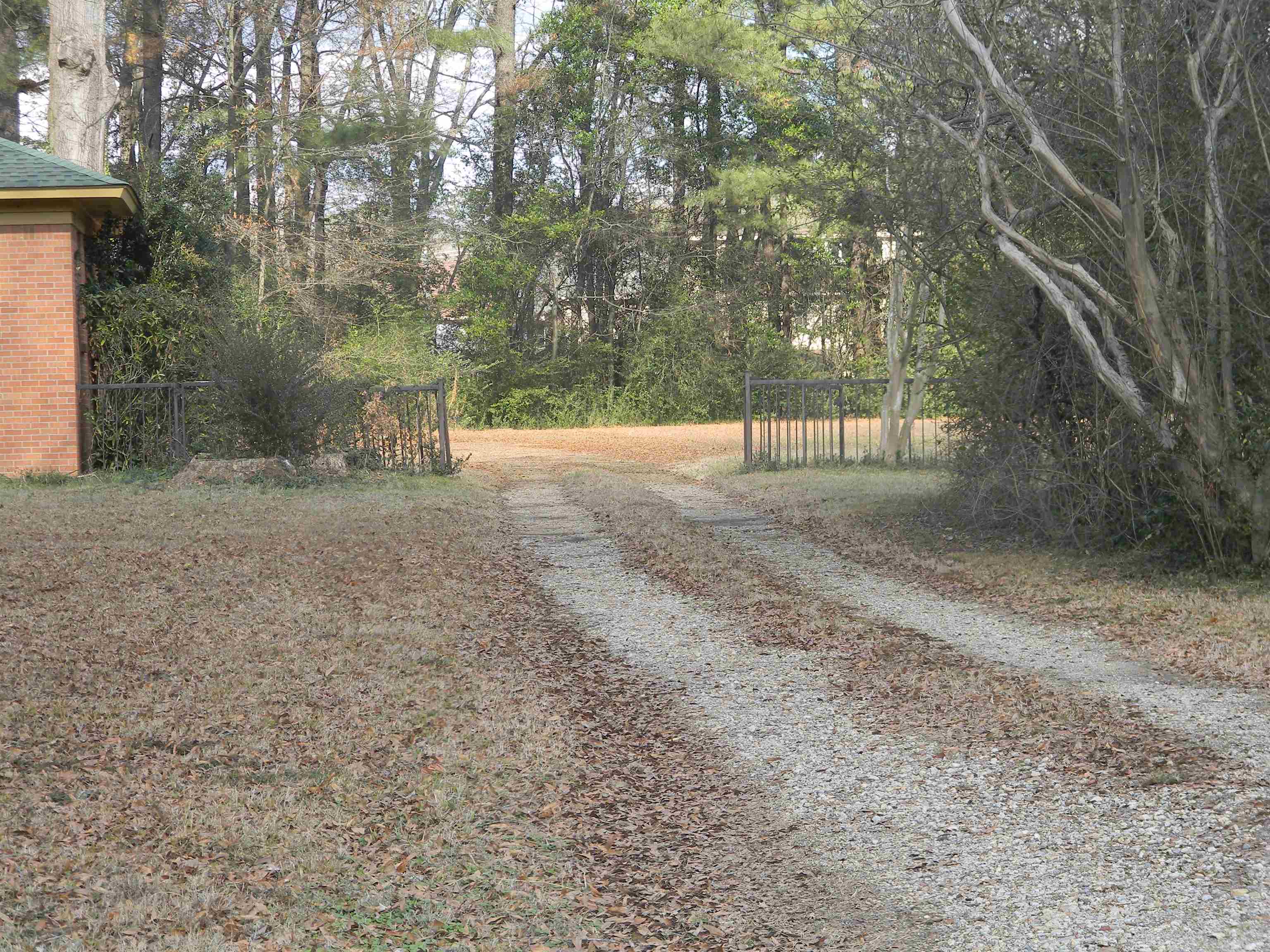 5558 Crestview Road Memphis, TN 38134 - Photo 5 of 32 a view of dirt yard with large trees