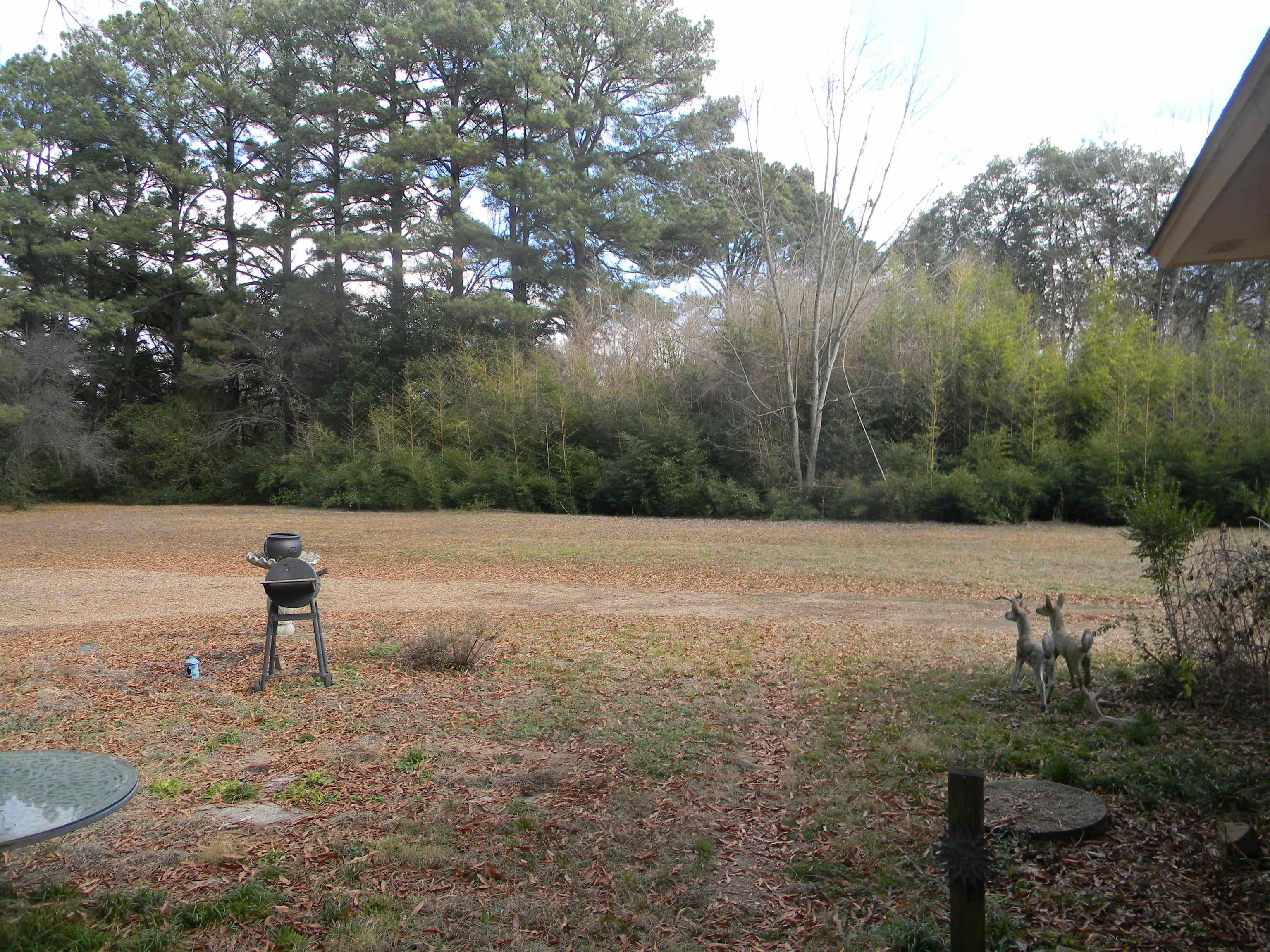 5558 Crestview Road Memphis, TN 38134 - Photo 7 of 32 a view of a lake