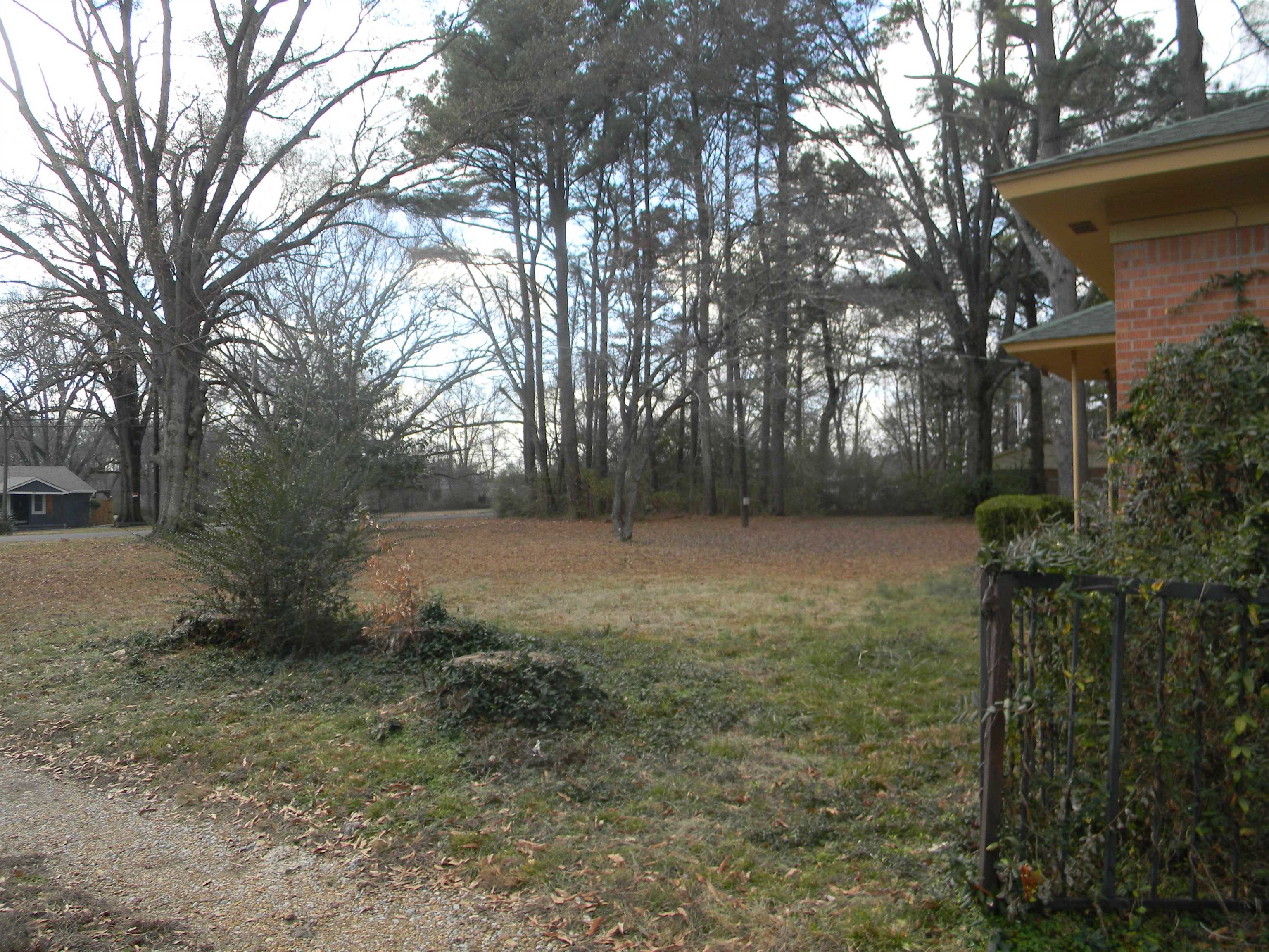 5558 Crestview Road Memphis, TN 38134 - Photo 9 of 32 a view of backyard with green space