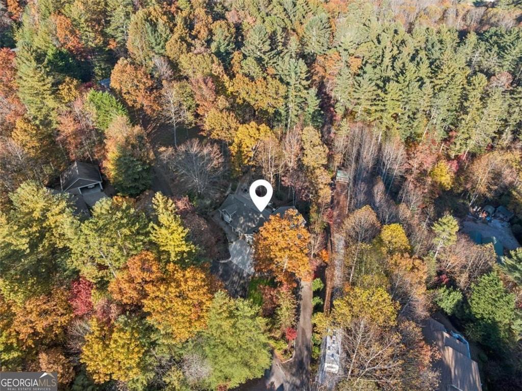 174 Bell Colony Road Dillard, GA 30537 - Photo 3 of 47