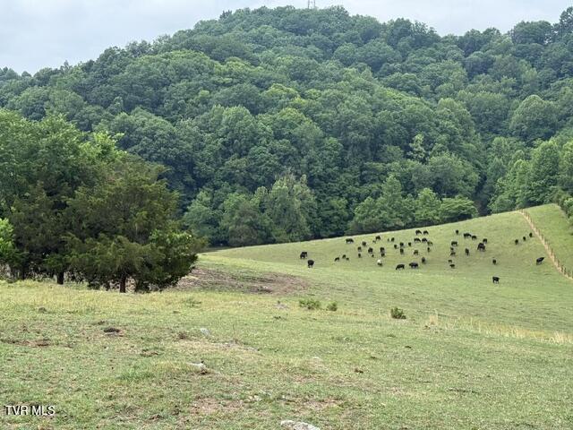 Tbd South Summer Sound Road Piney Flats, TN 37686 - Photo 20 of 22 IMG_8042