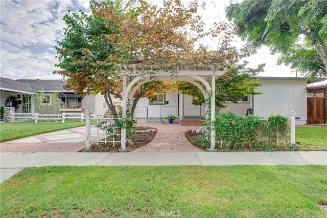 a view of a garden with plants and large trees