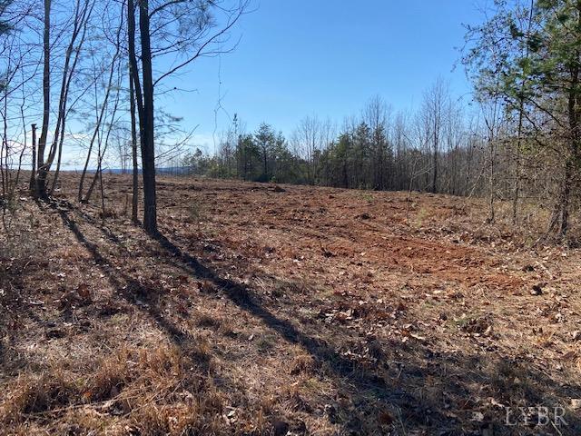 0 Blue Ridge Drive Gretna, VA 24557 - Photo 11 of 23 Gallery Image 11