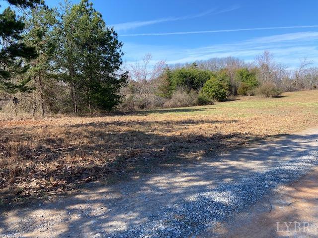 0 Blue Ridge Drive Gretna, VA 24557 - Photo 10 of 23 Gallery Image 10