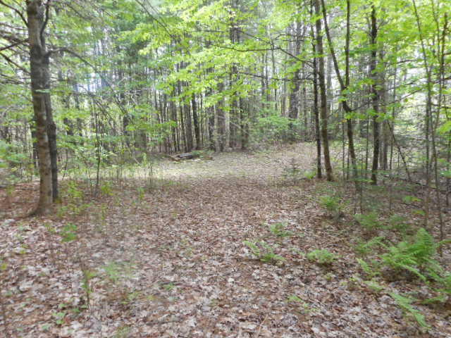 277 Goulds Ridge Road Passadumkeag, ME 04475 - Photo 25 of 32 DSCN4710