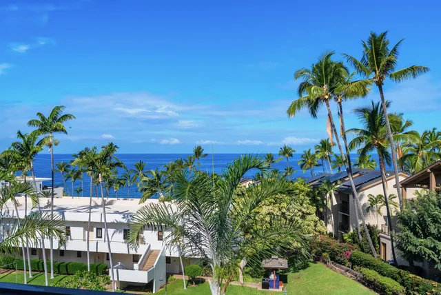 a view of a yard with plants and palm trees