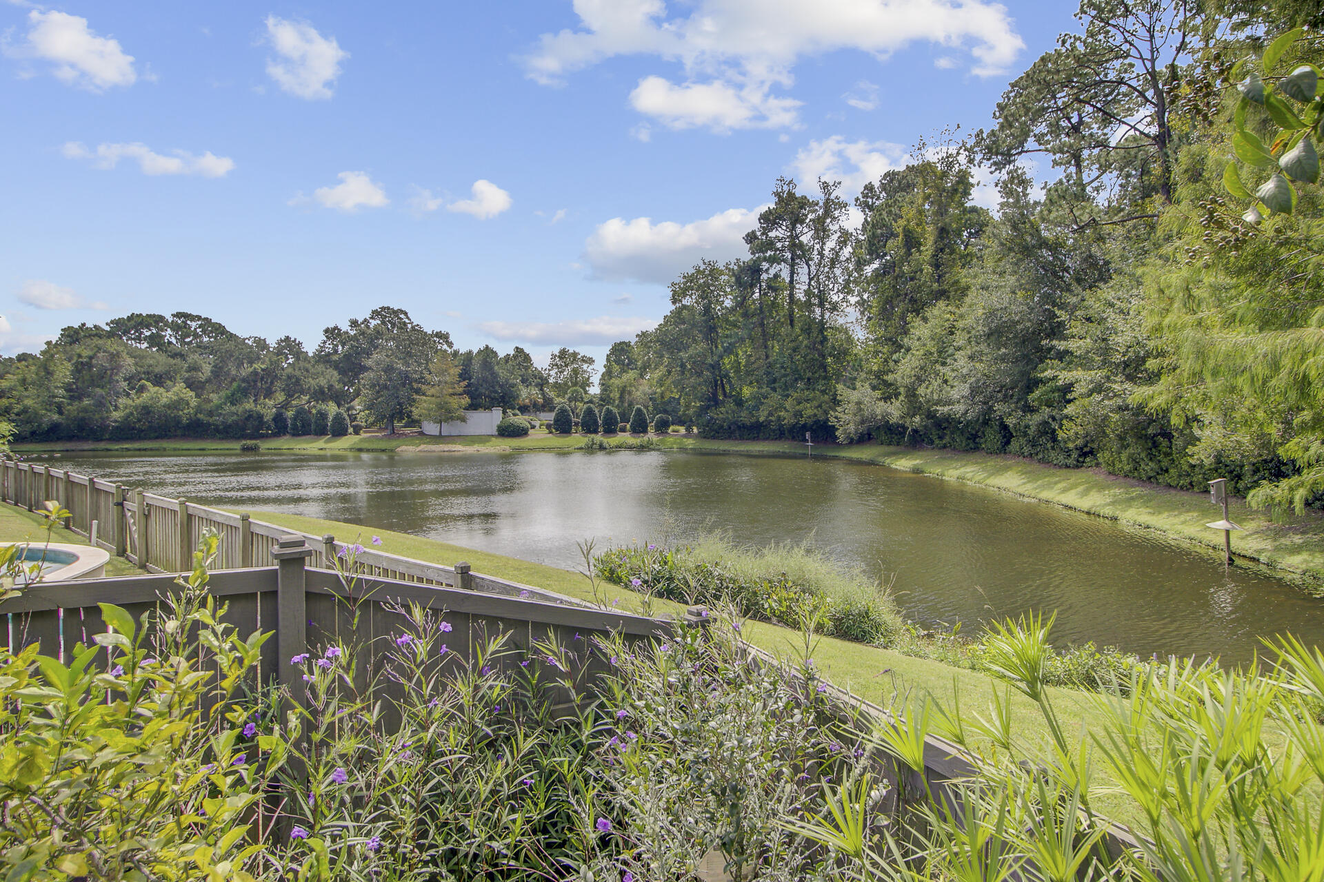 746 Goodlet Circle Charleston, SC 29412 - Photo 7 of 50 746 Goodlet Circle Backyard 2