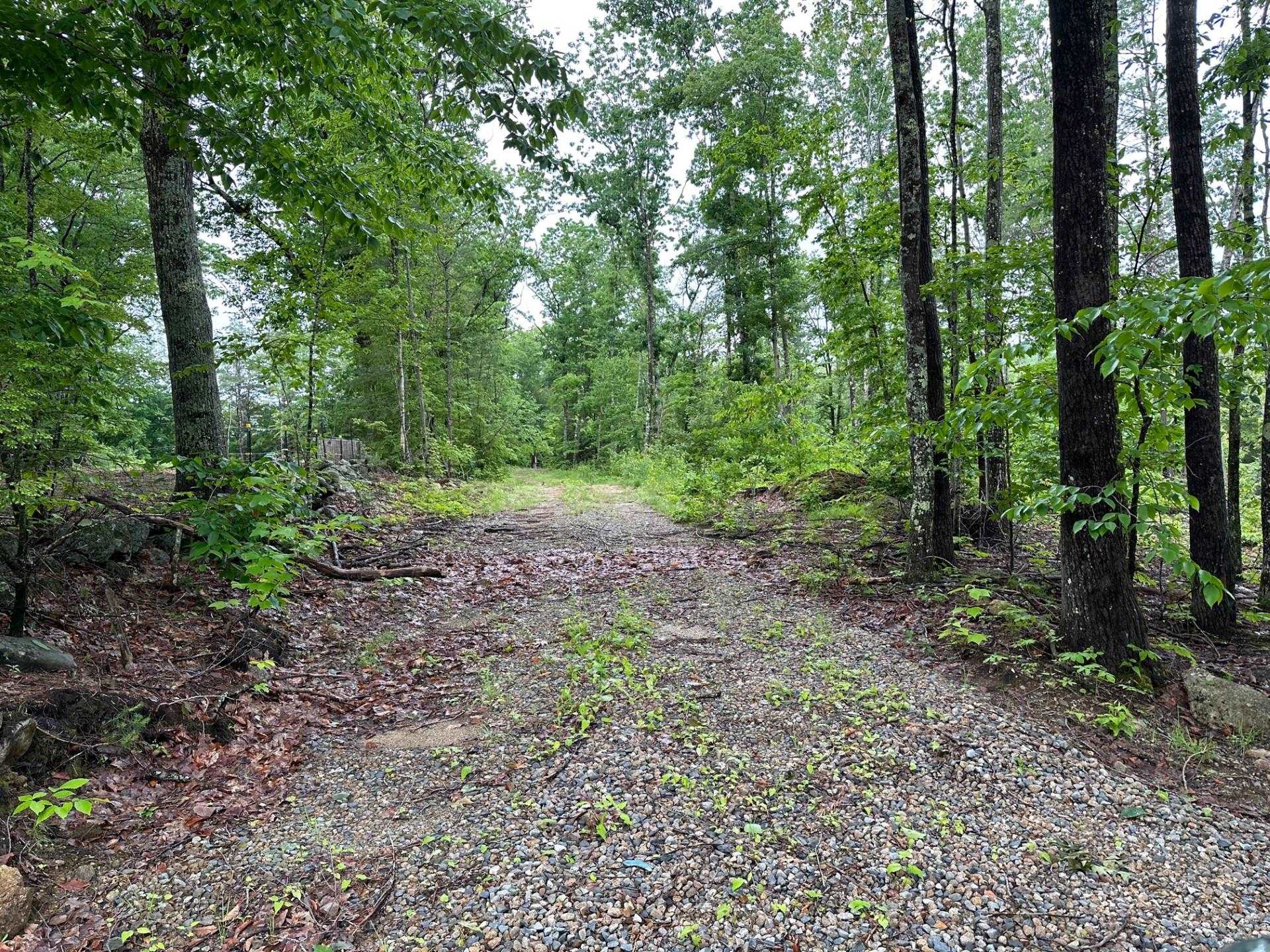 Lot 7 Berry Road New Durham, NH 03855 - Photo 1 of 2