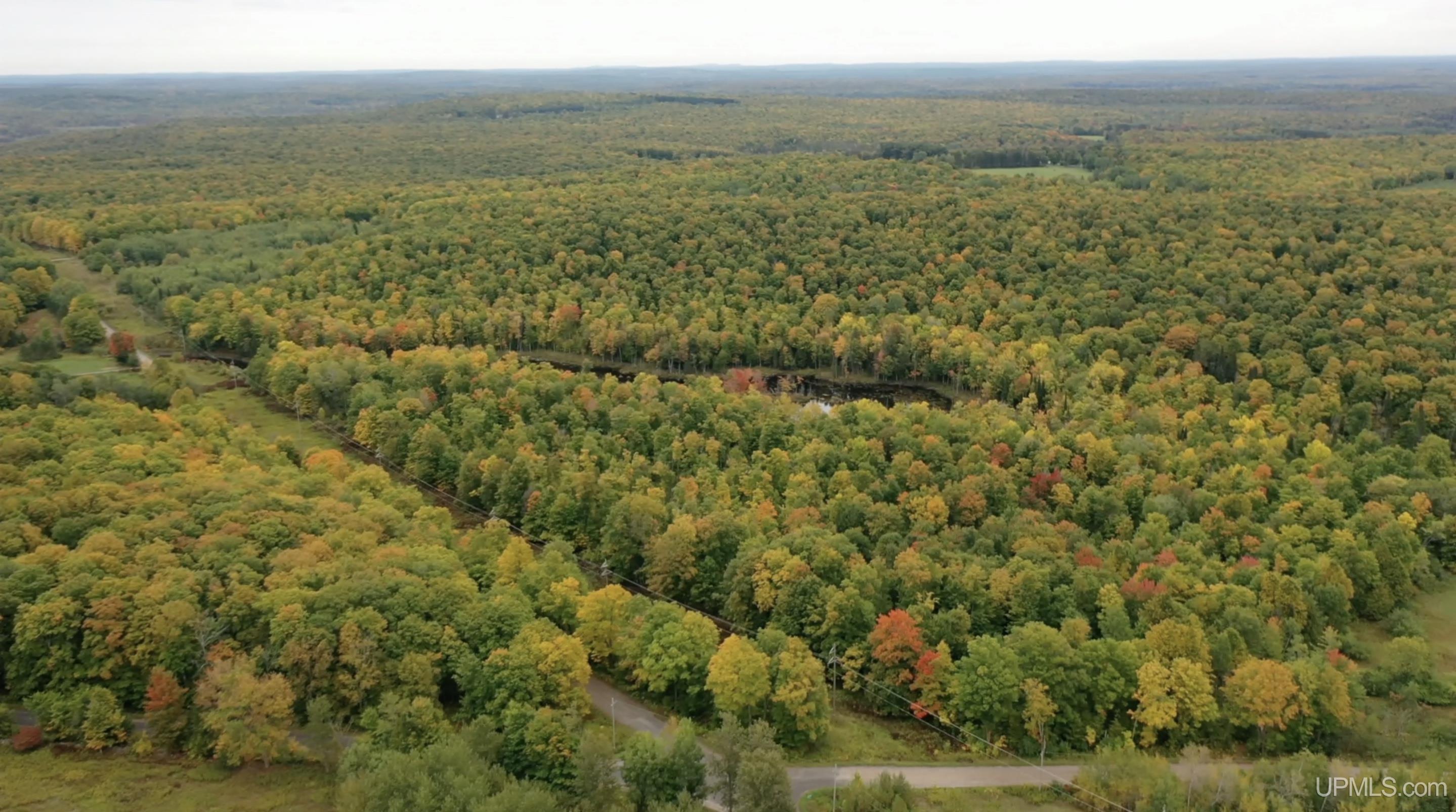 Tbd Nelson Road Iron River, MI 49935 - Photo 12 of 14 Gallery Image 12
