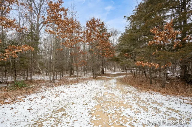 $325,000 | 8351 Goodwin Road, Lyons, MI 48851