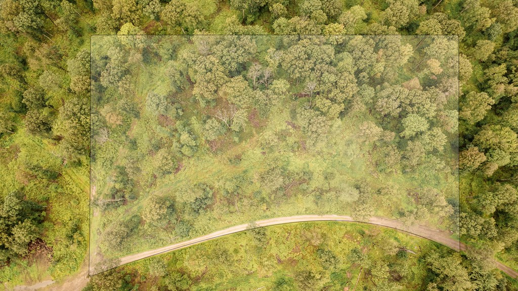 4 Mccutcheon Road Sigel, PA 15860 - Photo 3 of 10