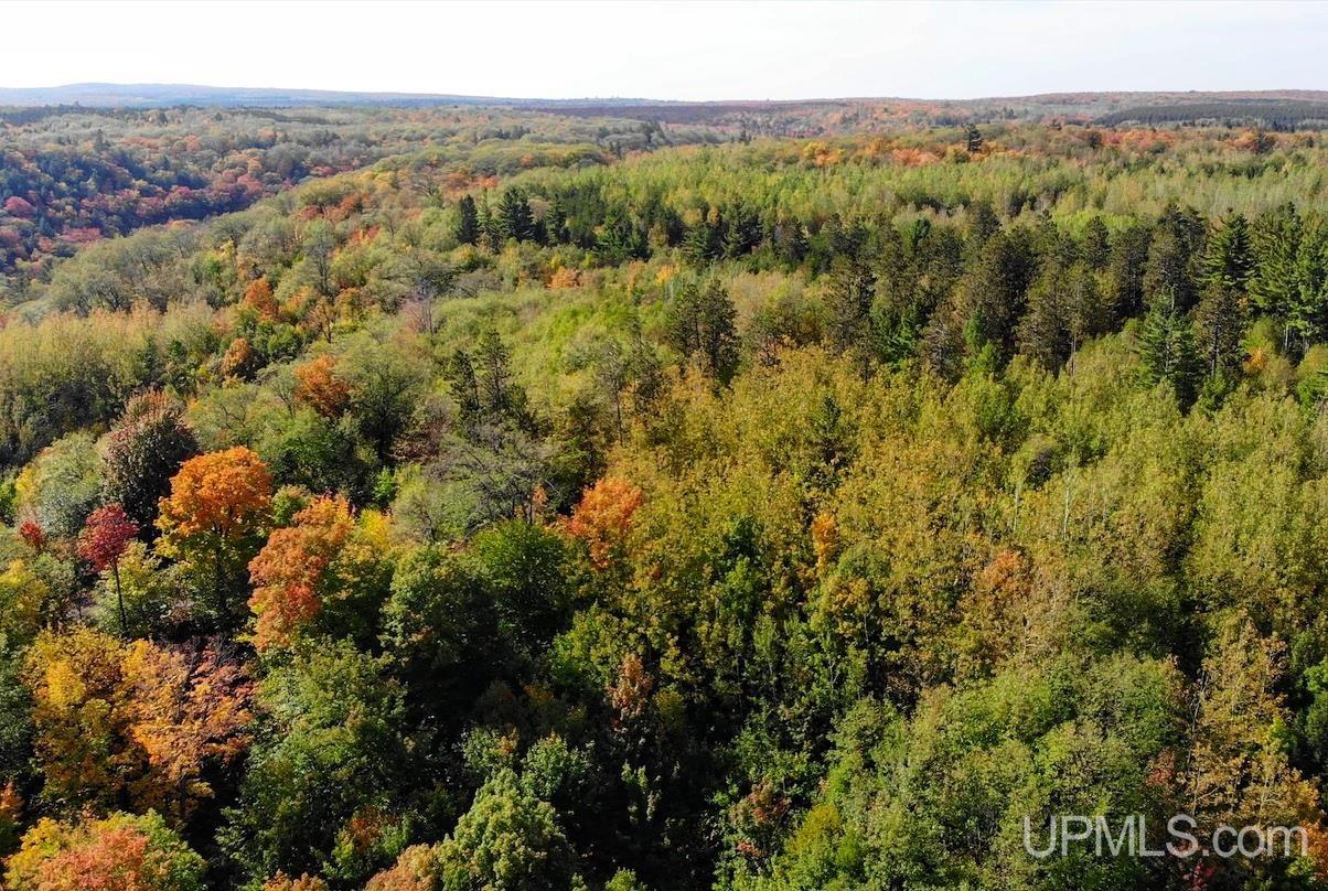 Tbd3 Tbd3 Oak Point Road Atlantic Mine, MI 49905 - Photo 6 of 21