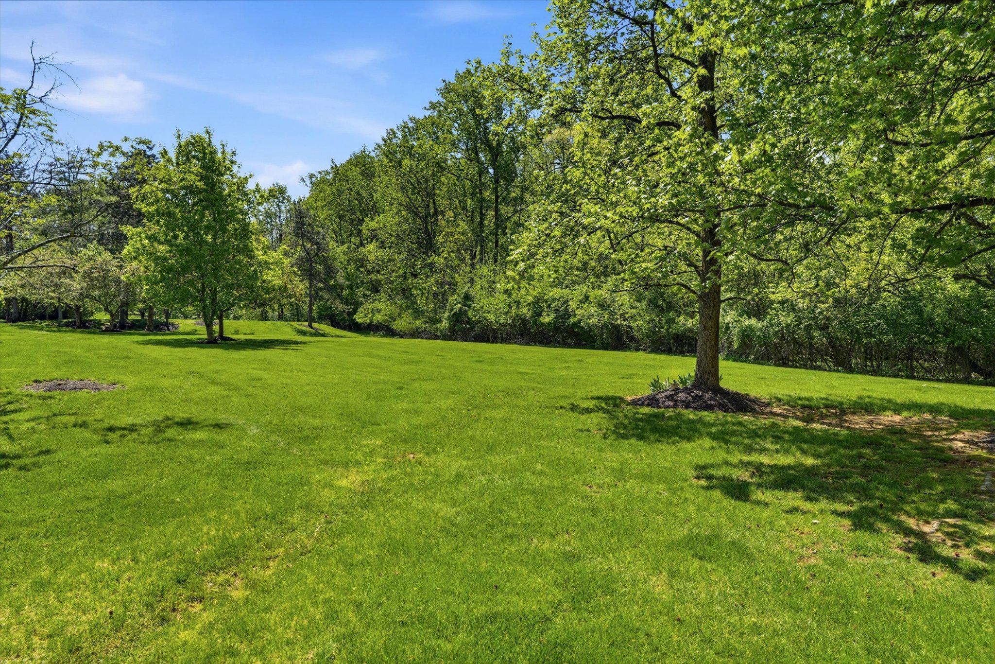 623 Washington Place Chesterbrook, PA 19087 - Photo 22 of 26 a view of a grassy field with a tree