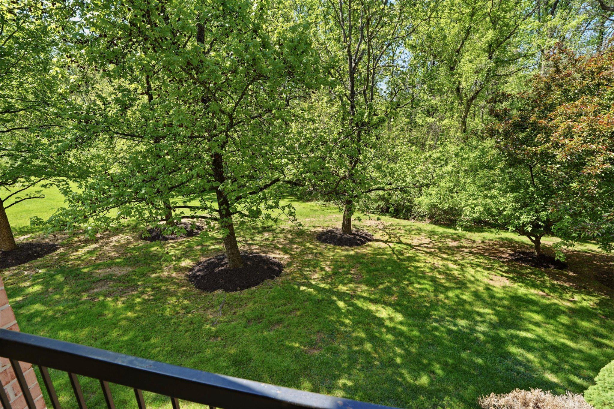623 Washington Place Chesterbrook, PA 19087 - Photo 10 of 26 a view of a garden with a tree
