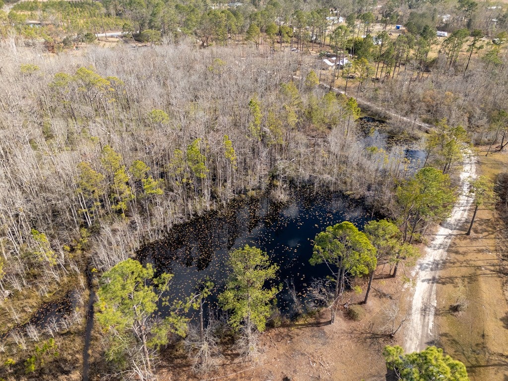 4568 Boring Pond Road Valdosta, GA 31606 - Photo 38 of 42 Gallery Image 38