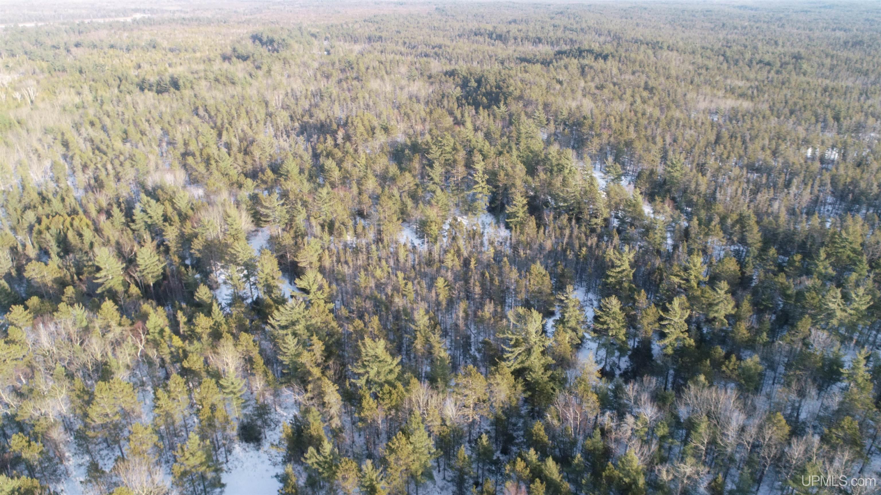Tbd McDonald Lk Road Gulliver, MI 49840 - Photo 8 of 16