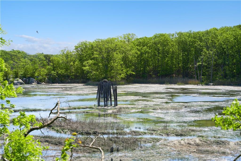 12 Bowhay Hill Road Branford, CT 06405 - Photo 12 of 40 a view of a water view